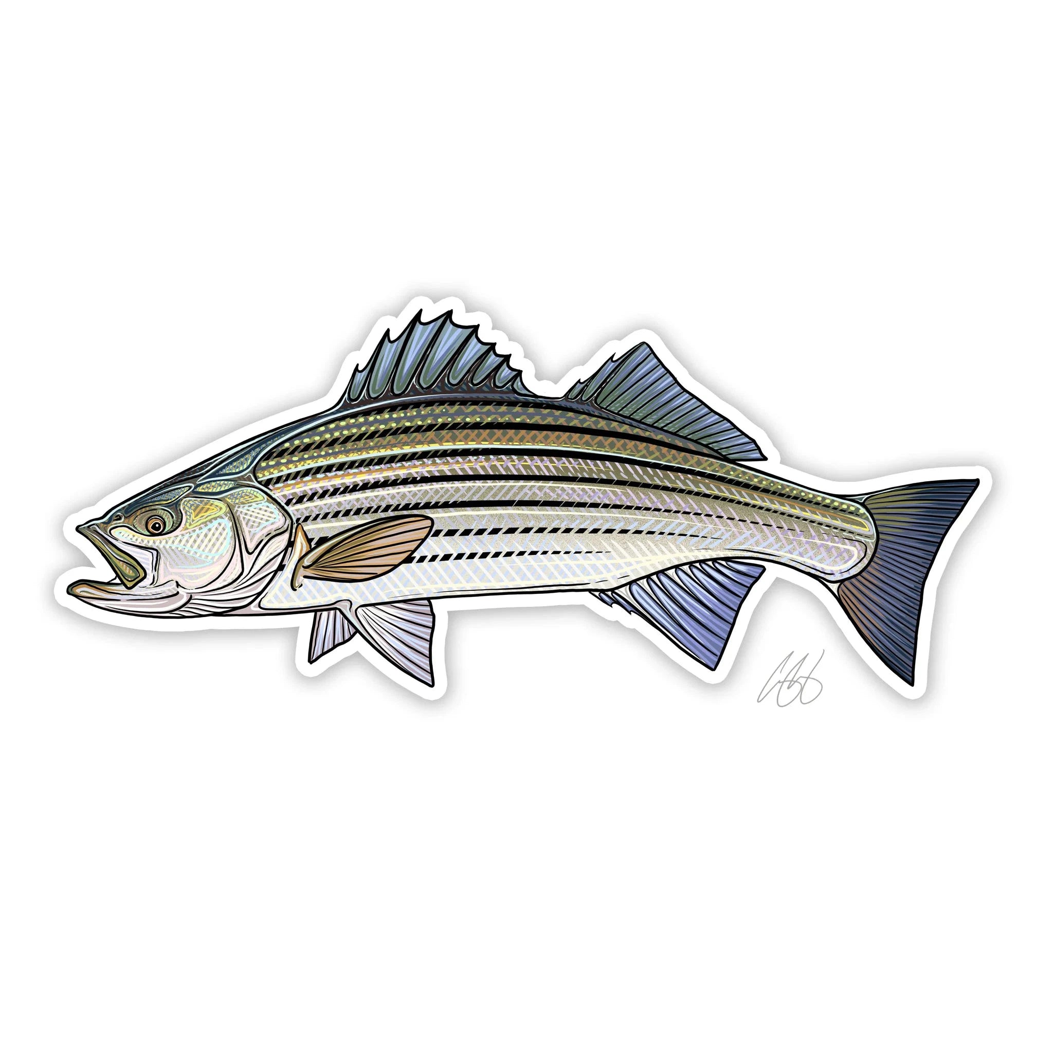 Fishing hook fine grip-Underwood Striped Bass Sticker