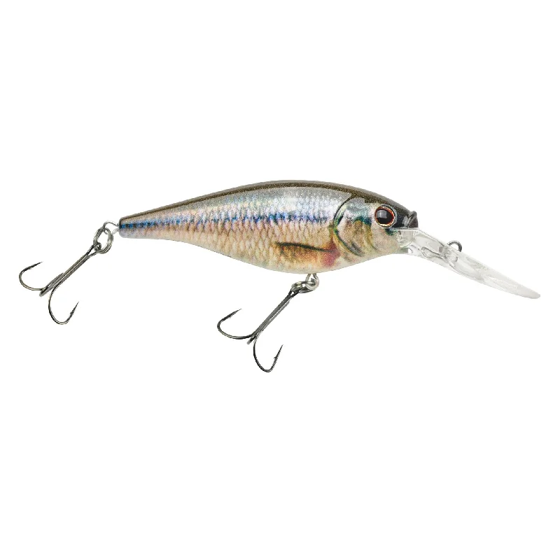 HD Fathead Minnow