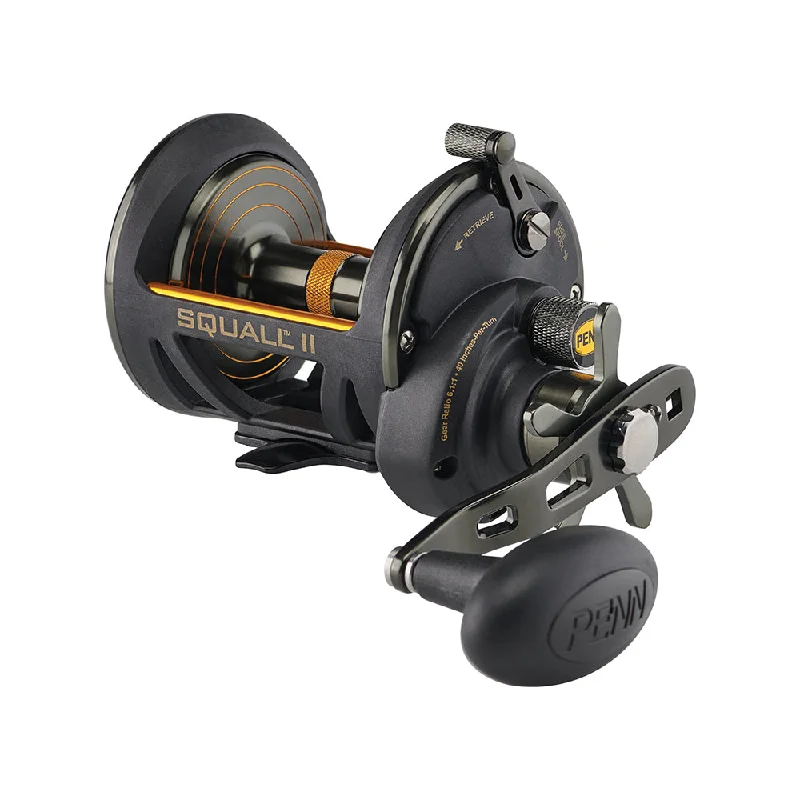 Fishing line cast precision-PENN Squall II Star Drag Conventional Reel - SQLII40SD [1522173]