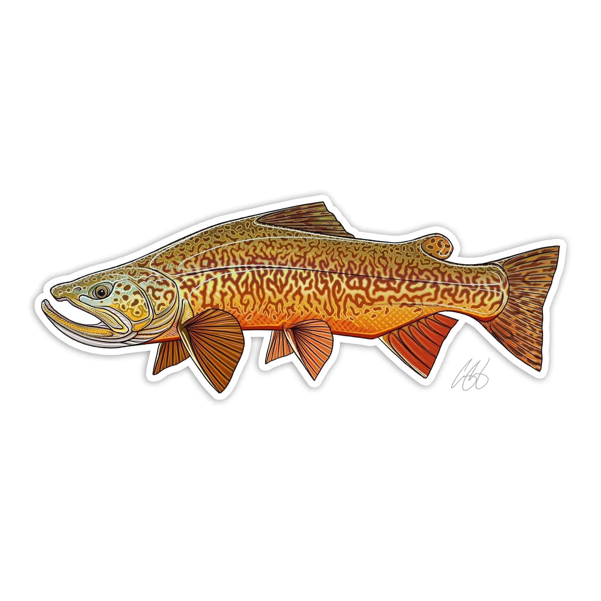 Fishing bait scent support-Underwood Tiger Trout Sticker