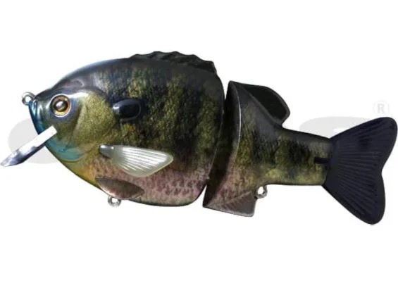 Real Bluegill