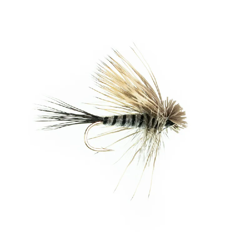 Fishing line cast steady-Hairwing Drake