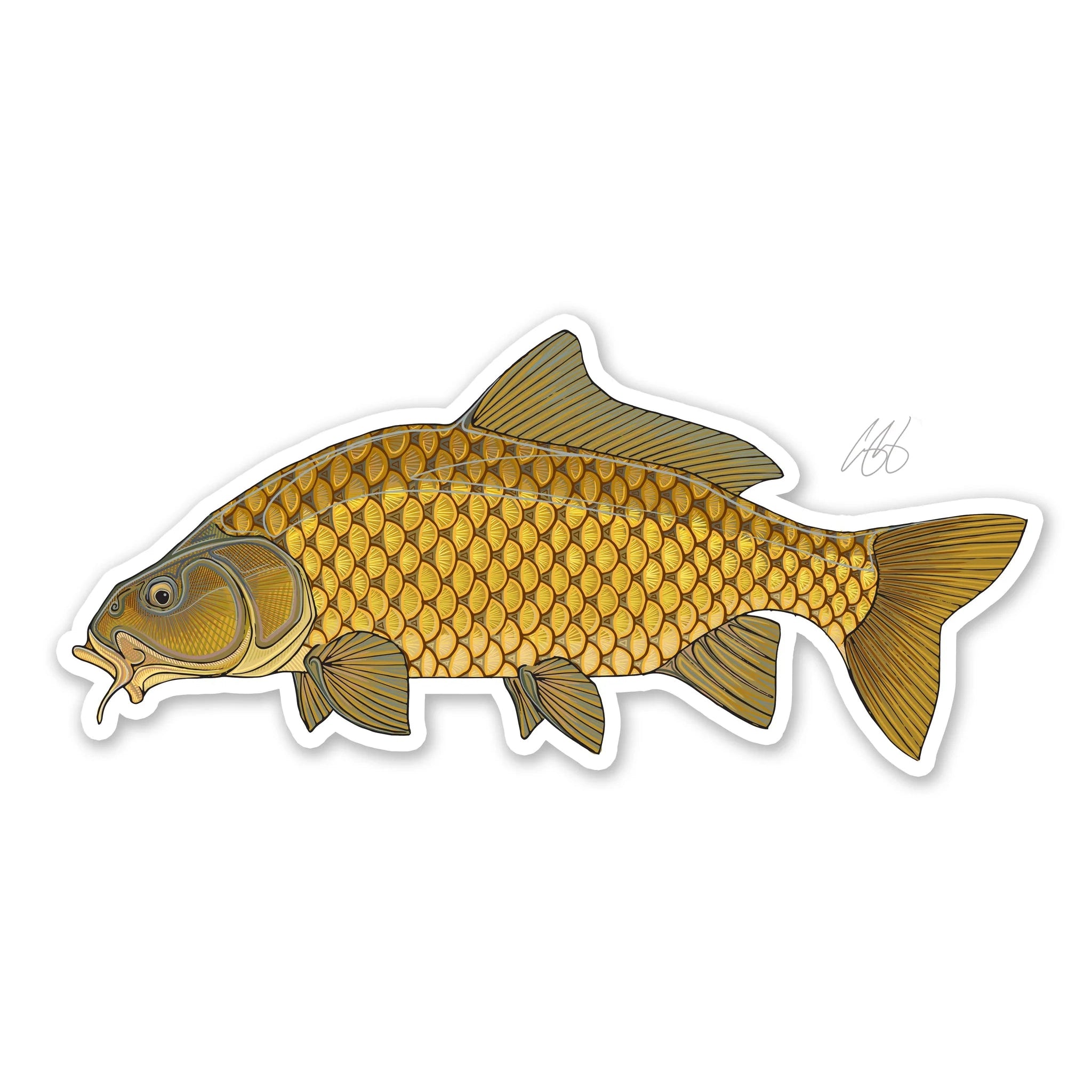 Fishing line cast support-Underwood Common Carp Sticker