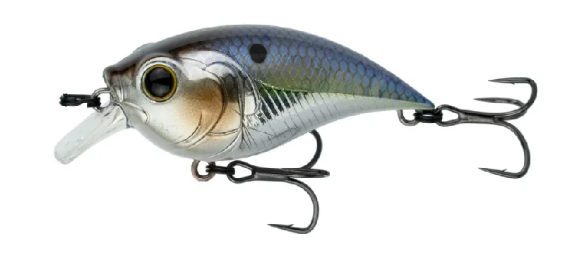 Chrome Threadfin