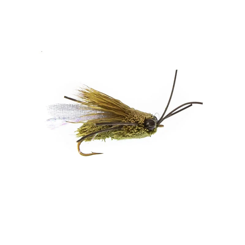 Fishing line cast strength-Clark's Cicada