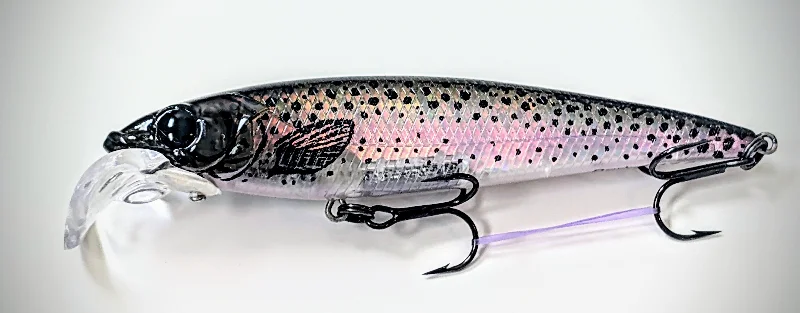 Rainbow Trout