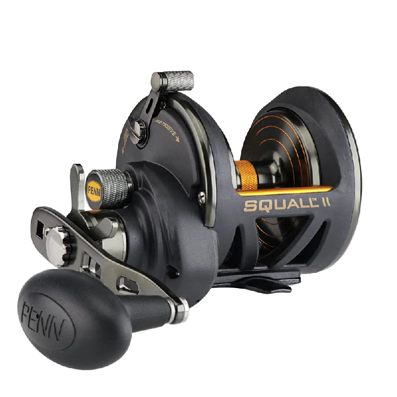 Fishing line high strength-PENN Squall II Star Drag Conventional Reel - SQLII25NSD [1522169]