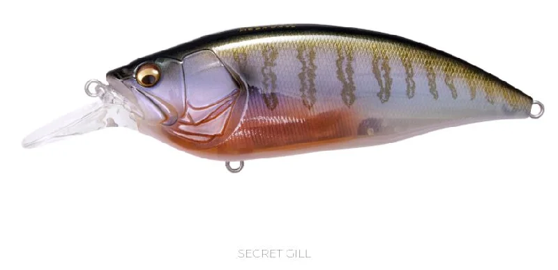 (SP-C) Secret Gill