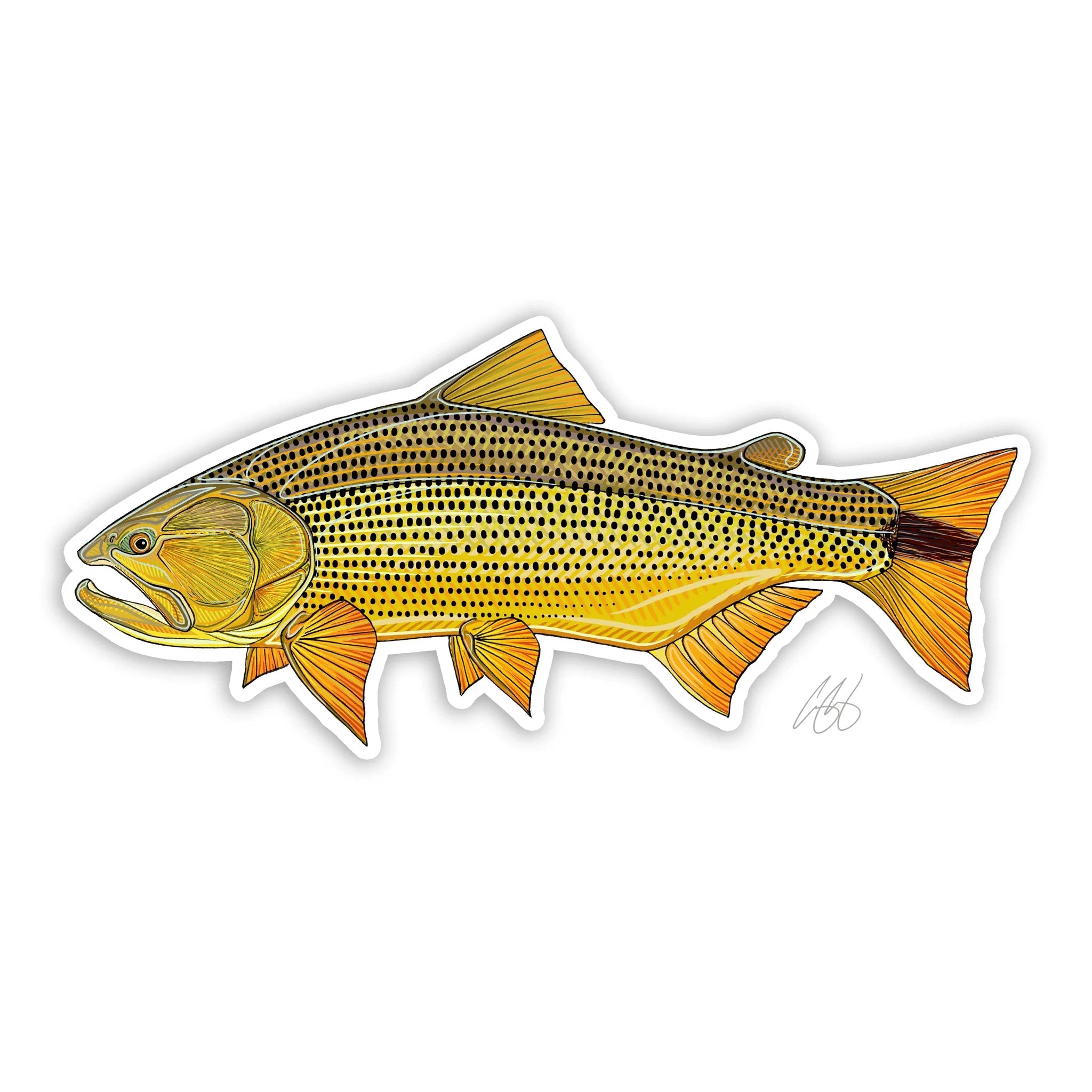 Fishing reel smooth balance-Underwood Golden Dorado Sticker